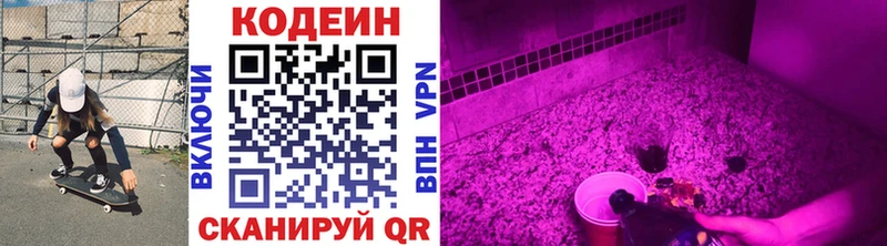hydra сайт  Сунжа  Кодеиновый сироп Lean Purple Drank  сколько стоит 