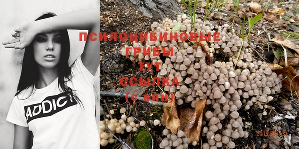 стафф Алзамай