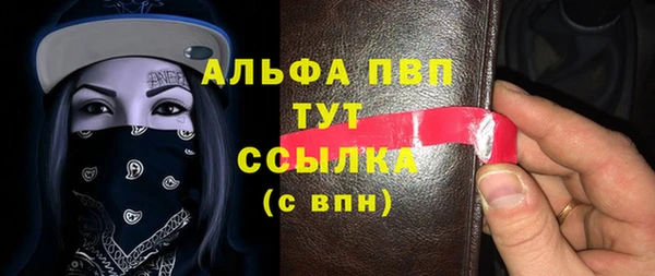 стафф Алзамай