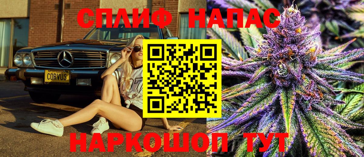 Марихуана планчик  Бошки марихуана ГИДРОПОН  Сунжа  Вход с VPN 